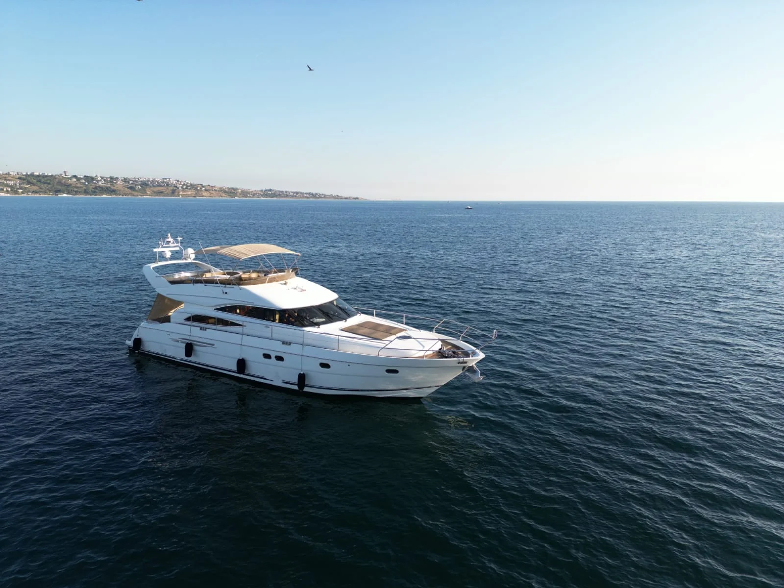 Princess 61
